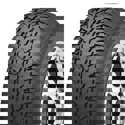 285/60R18 116H Nankang N-890