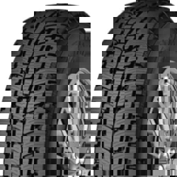 225/65R16c 8PR 112/110R Starmaxx Prowin St950 M+S