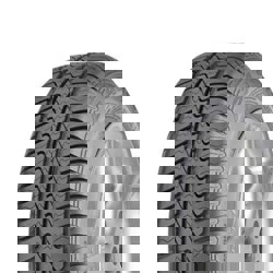 175/65R14 86T XL Debica Passio 2