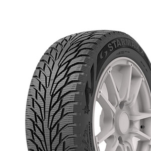 205/65R15 94T Starmaxx Arcterrain W860 M+S