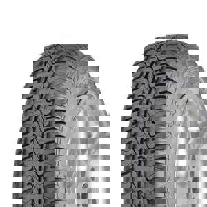 175/65R14 86T XL Debica Passio 2