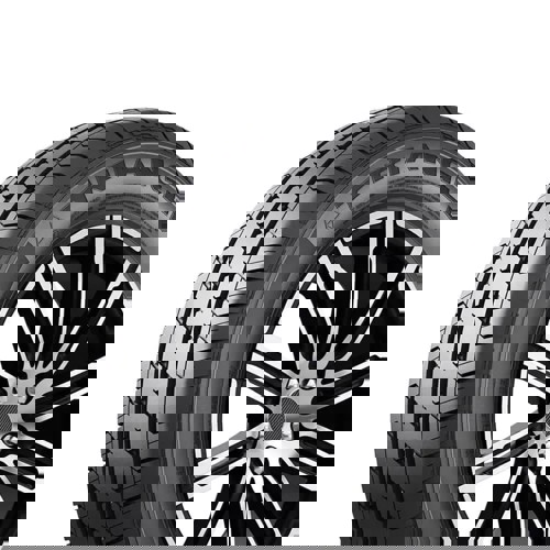 225/75R16C 121/120S Triangle Connex Van Tv701